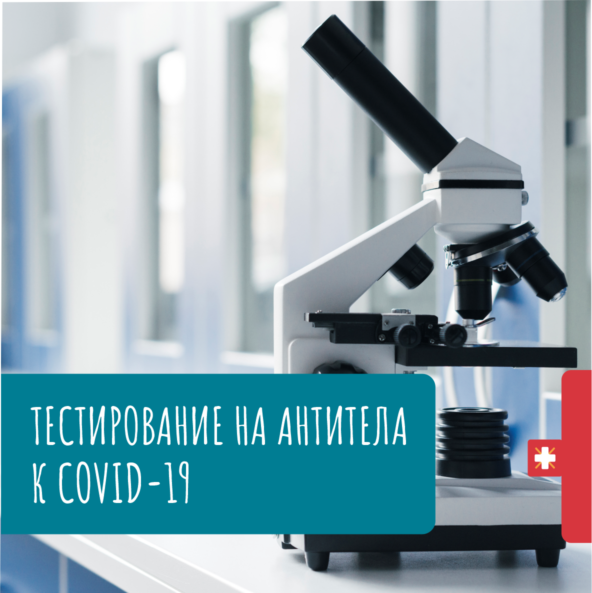 Теперь в нашей клинике доступно тестирование на определение антител к COVID-19.